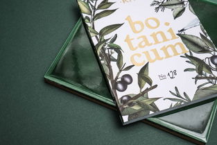 手繪元素在平面設(shè)計(jì)中的藝術(shù)魅力與應(yīng)用